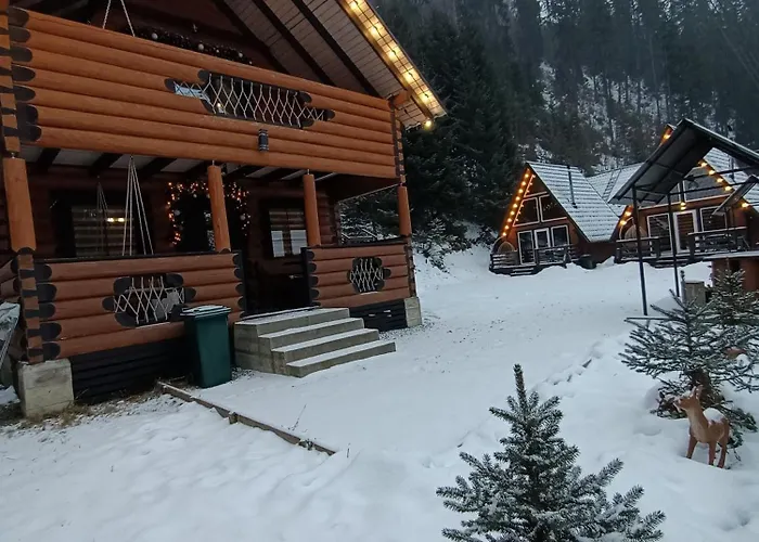 в обіймах гір Synevyrsʼka Polyana